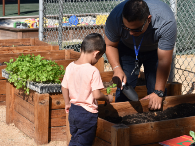 Man teaching a young boy to plant in wooden raised garden beds outdoors