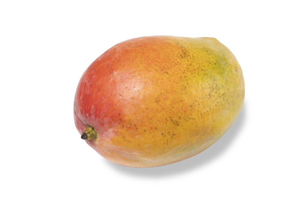 Ripe red and yellow mango