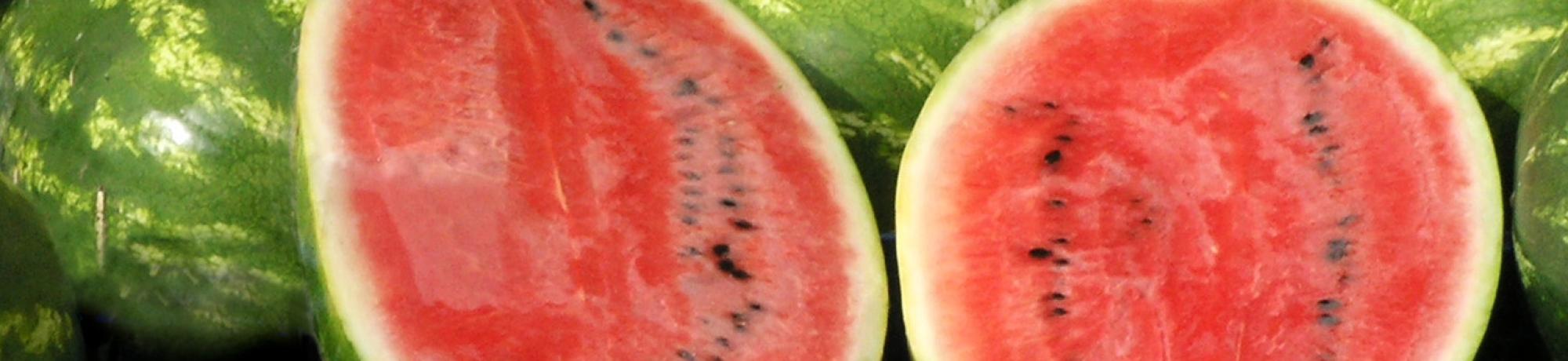 watermelon
