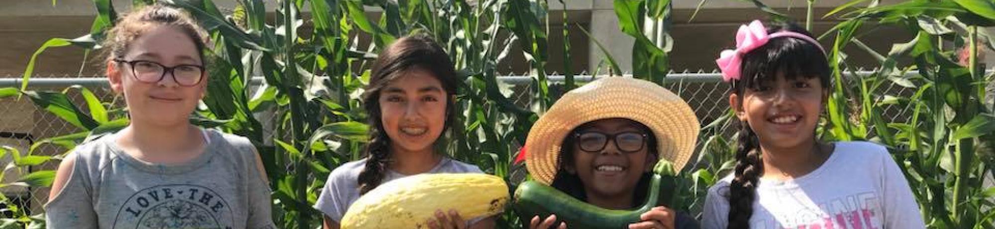 Harvest